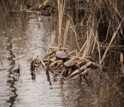 2014 04 27 WestwoodHills 011